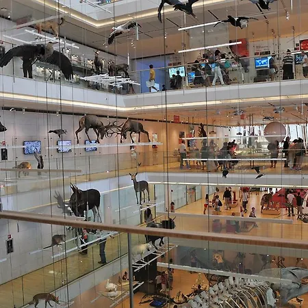 Interno 77 Di Tss' - Soleggiato Con Ampie Finestre & Internet Veloce Con Fibra - Perfetto Per Coppie *