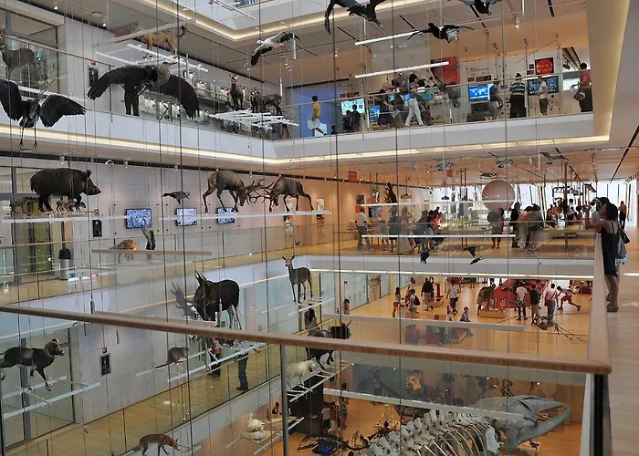 Interno 77 Di Tss' - Soleggiato Con Ampie Finestre & Internet Veloce Con Fibra - Perfetto Per Coppie *